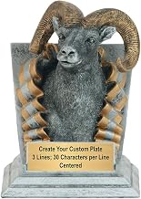 Ram Prize: Review & Buyer’s Guide (2026)