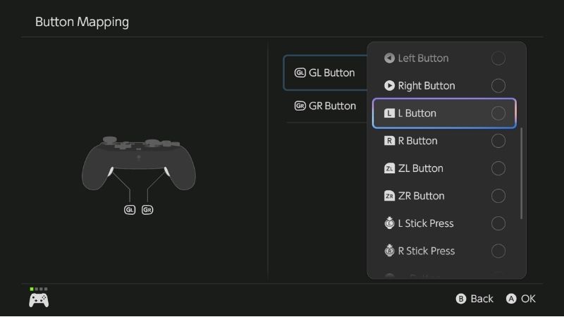 Minecraft Switch 2 controller mapping