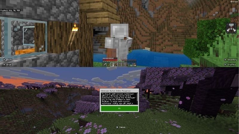 Minecraft Switch 2 multiplayer issues