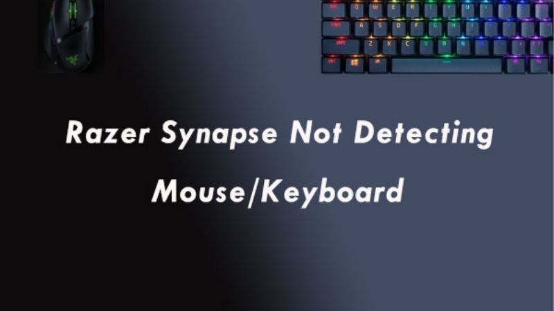 Razer Synapse not detecting mouse fix